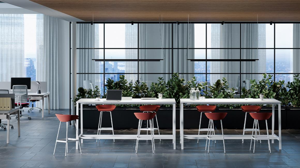 FREZZA site Slide pop ace 04